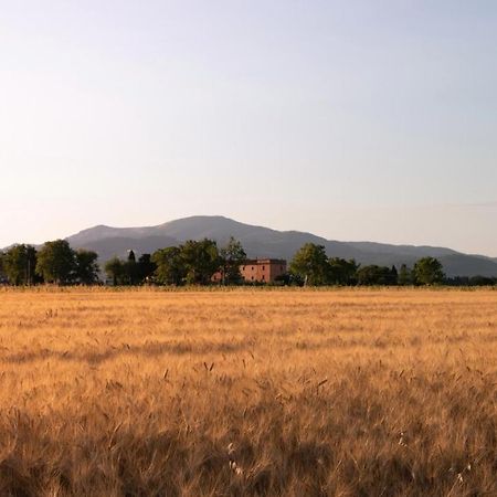 Agriturismo Il Pescinone Venturina Terme Εξωτερικό φωτογραφία