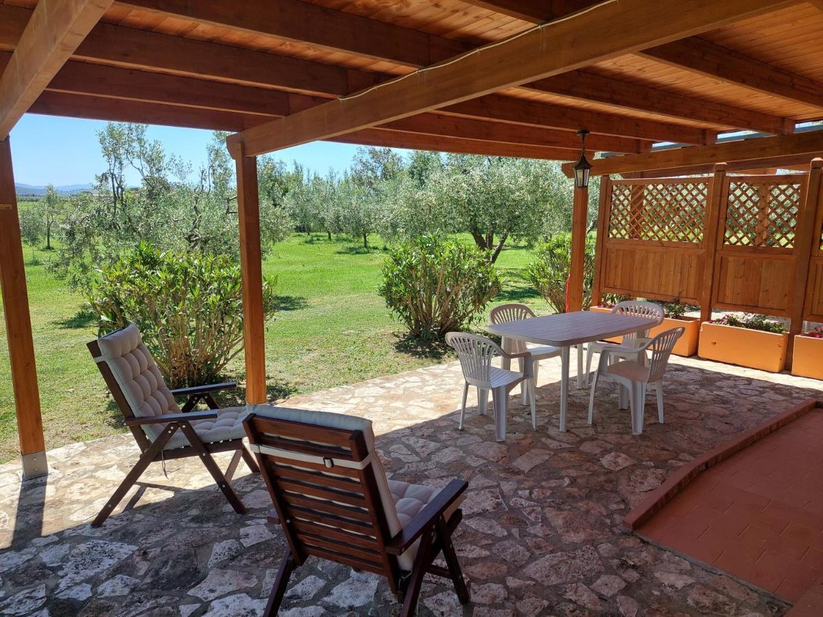 Agriturismo Il Pescinone Venturina Terme Εξωτερικό φωτογραφία