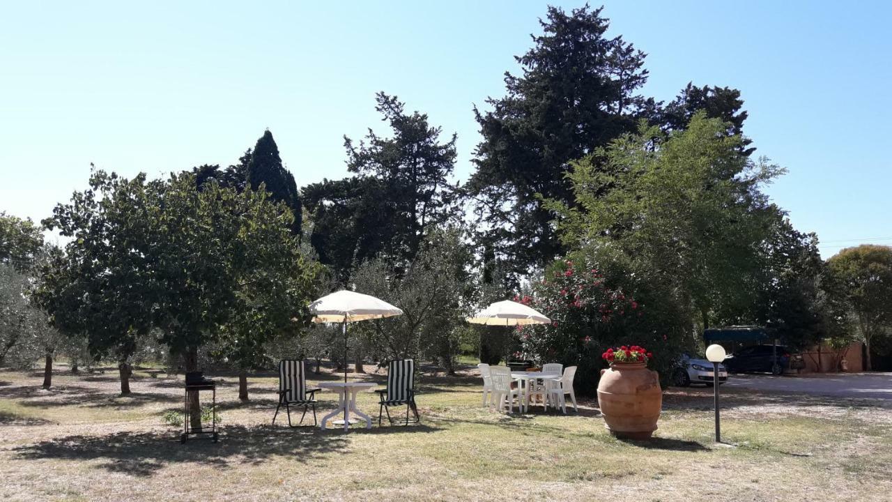 Agriturismo Il Pescinone Venturina Terme Εξωτερικό φωτογραφία