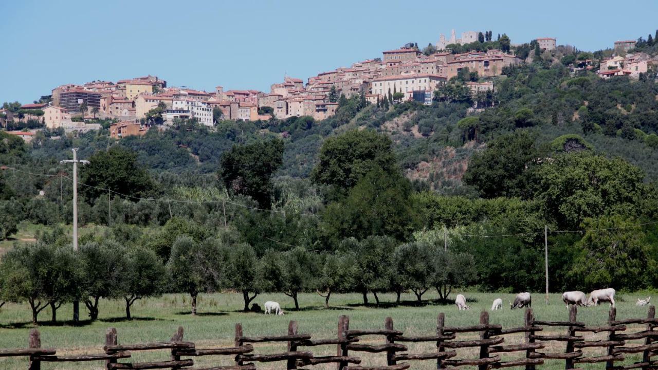 Agriturismo Il Pescinone Venturina Terme Εξωτερικό φωτογραφία