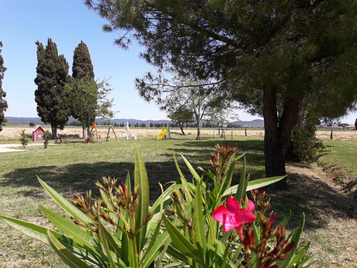 Agriturismo Il Pescinone Venturina Terme Εξωτερικό φωτογραφία