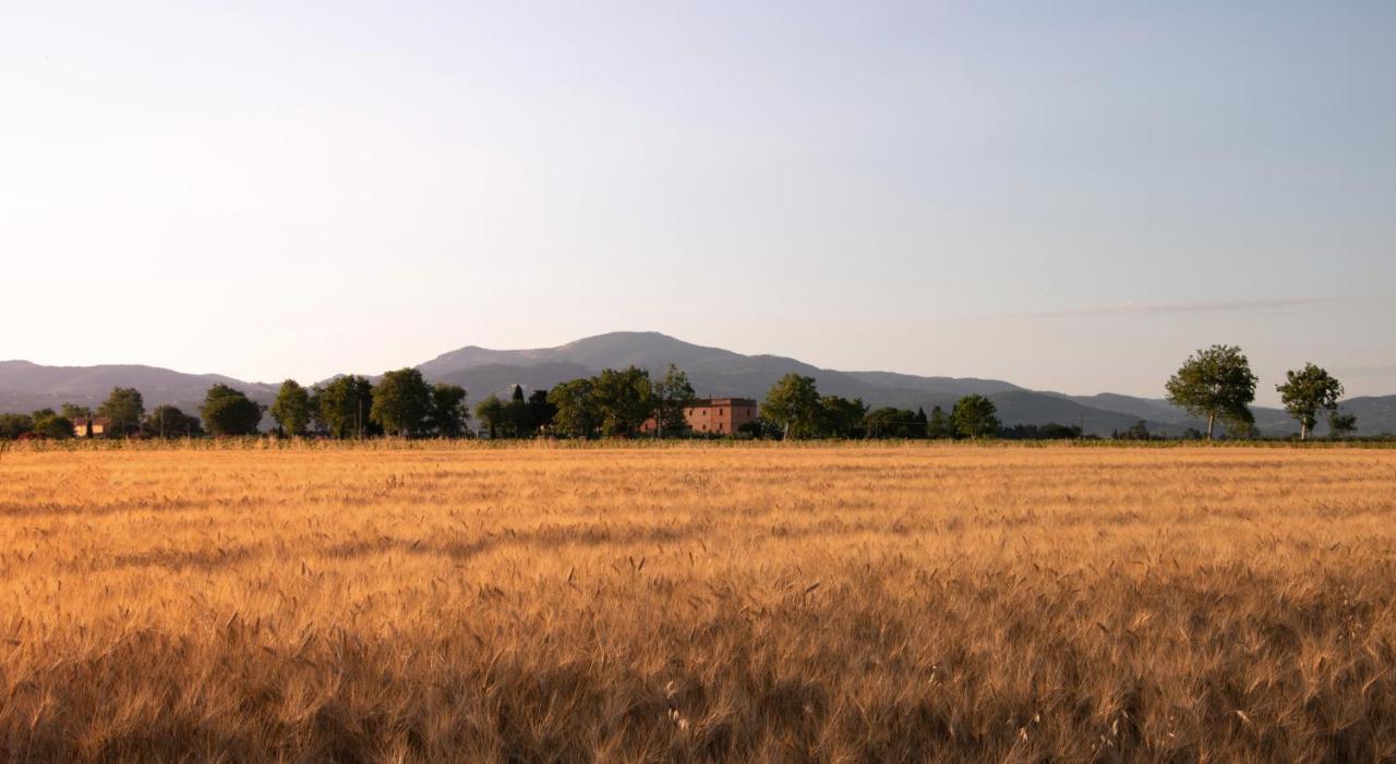Agriturismo Il Pescinone Venturina Terme Εξωτερικό φωτογραφία